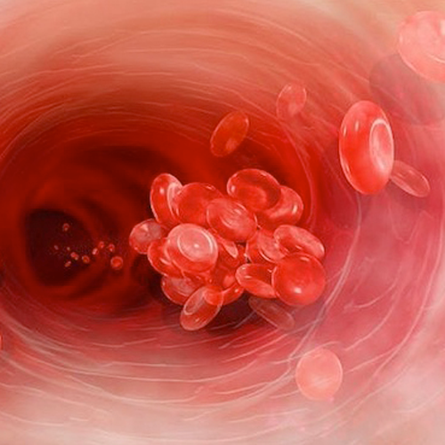 Trombofilia: ce este și de ce apare, care sunt simptomele, analize necesare și riscuri în sarcină