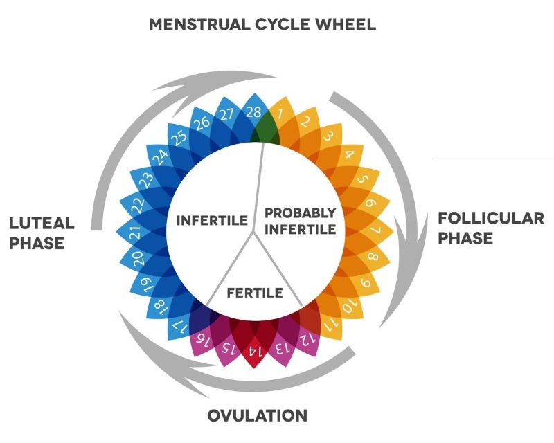 calendar menstrual zile fertile)