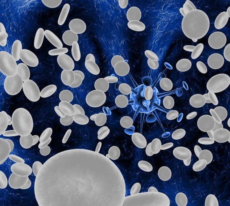 Leucocite (celule albe) mărite în sânge: ce semnifică