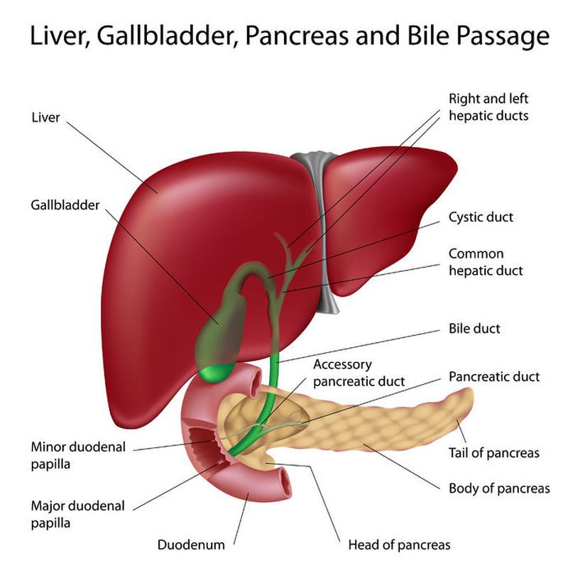 Simptome infecțioase ale vezicii biliare