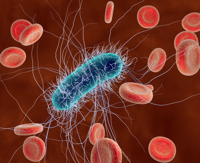 infectia urinara e coli)