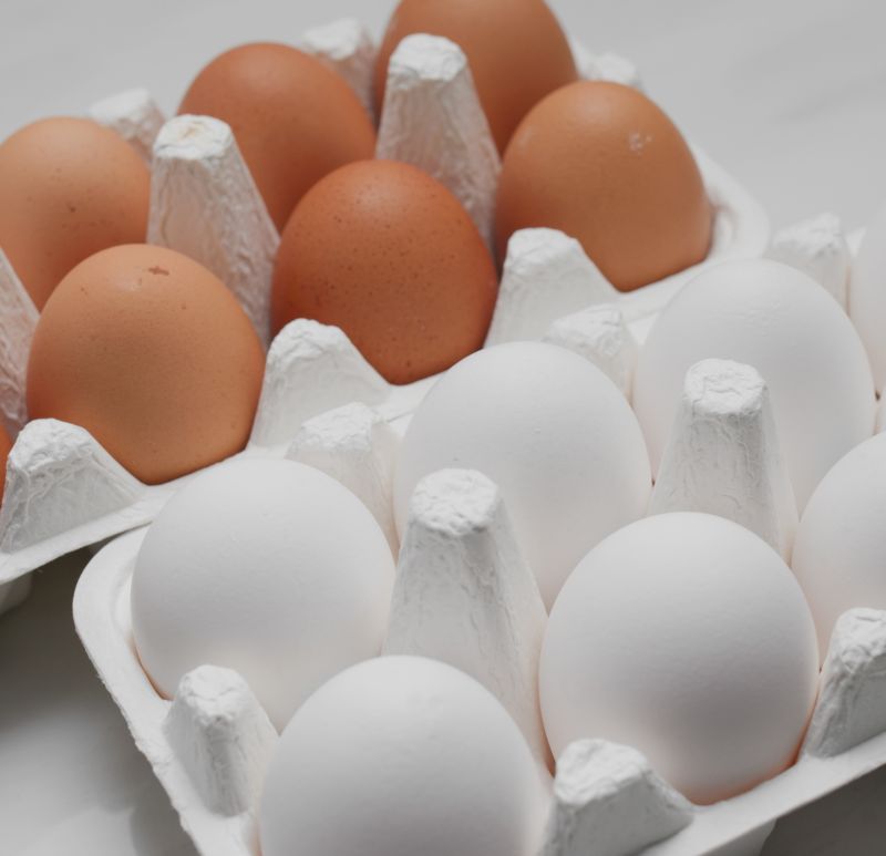 Cum se pune un pui pe ouă. Găini găini