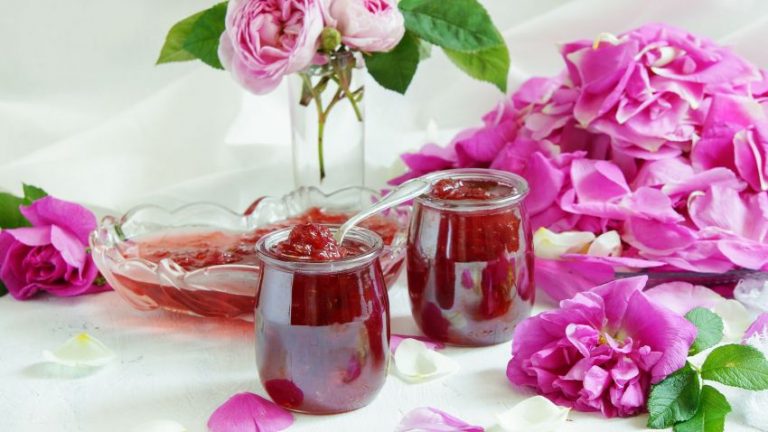 Dulceața din petale de trandafir: rețeta simplă, fără gelatină