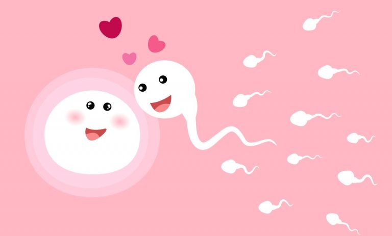 Fereastra fertilă – află când ai cele mai mari șanse să rămâi însărcinată