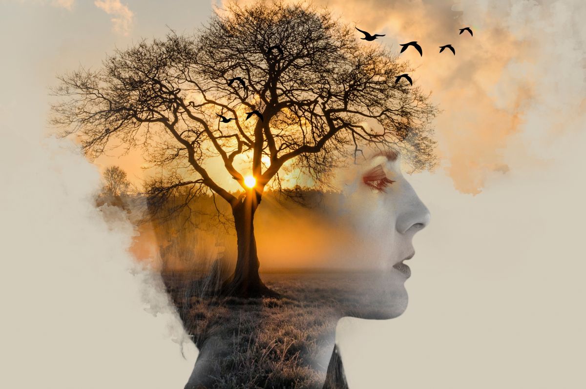 Oamenii și copacii – asocieri psihologice și lecții de viață