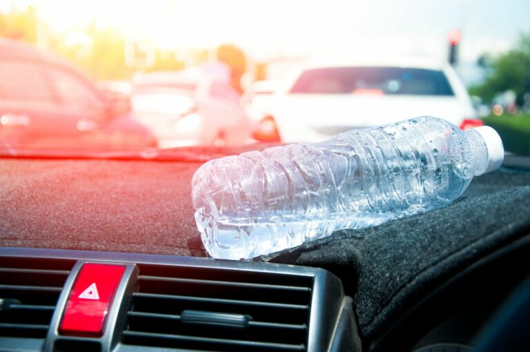 De ce e periculos să bei apă din sticla de plastic când e caniculă