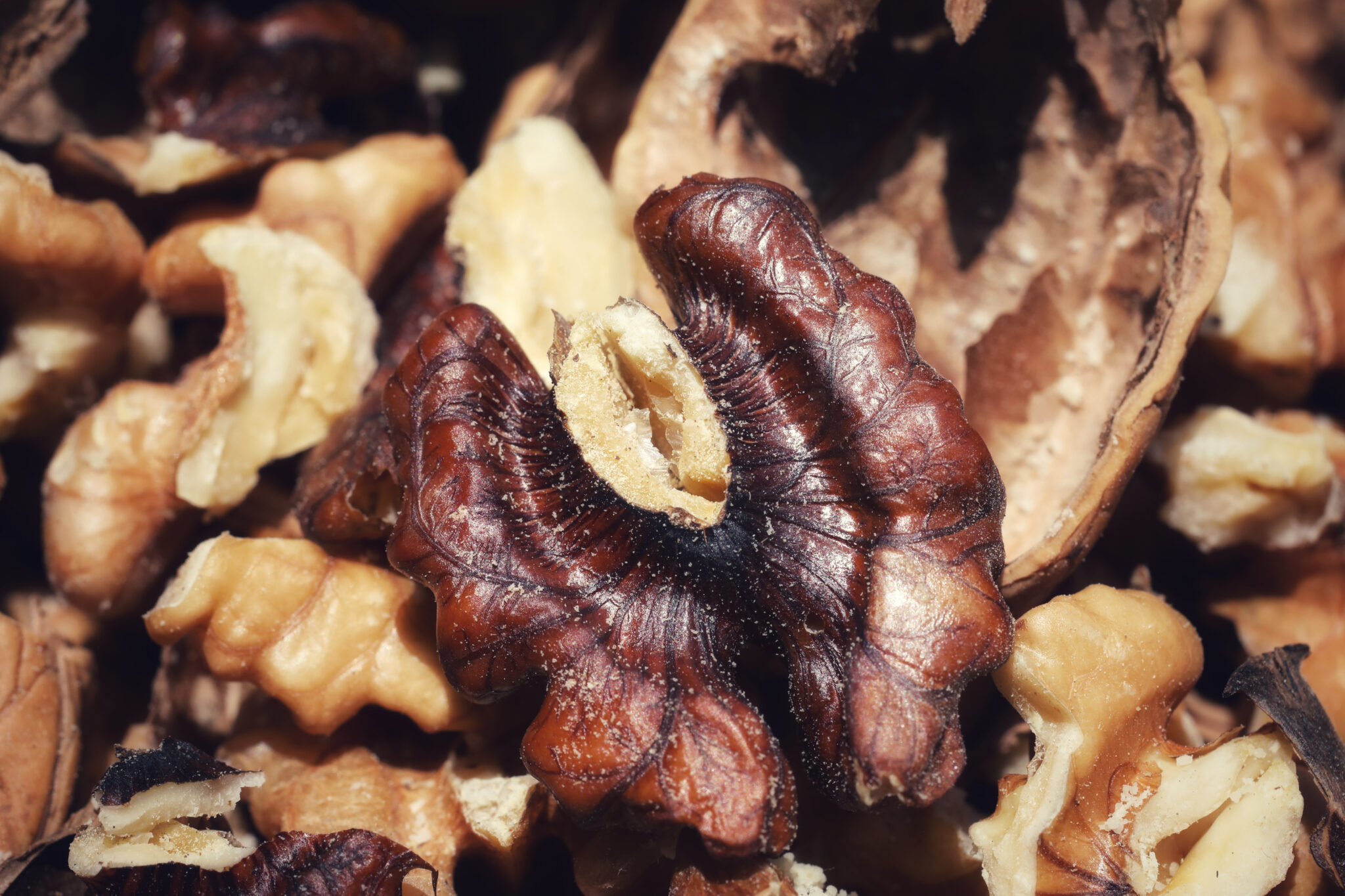 Ingredientul din cozonac care te poate strica la stomac. 3 semne prin care recunoști nucile râncezite