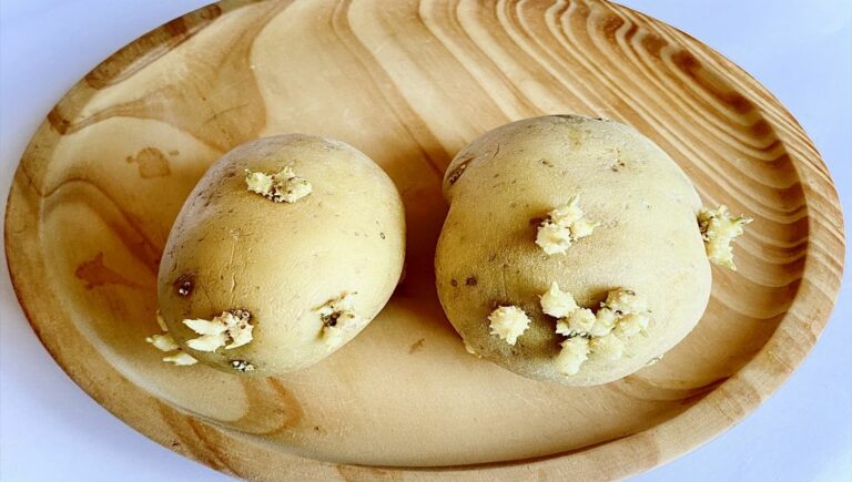 Este sau nu periculos pentru sănătate dacă mănânci cartofi încolțiți