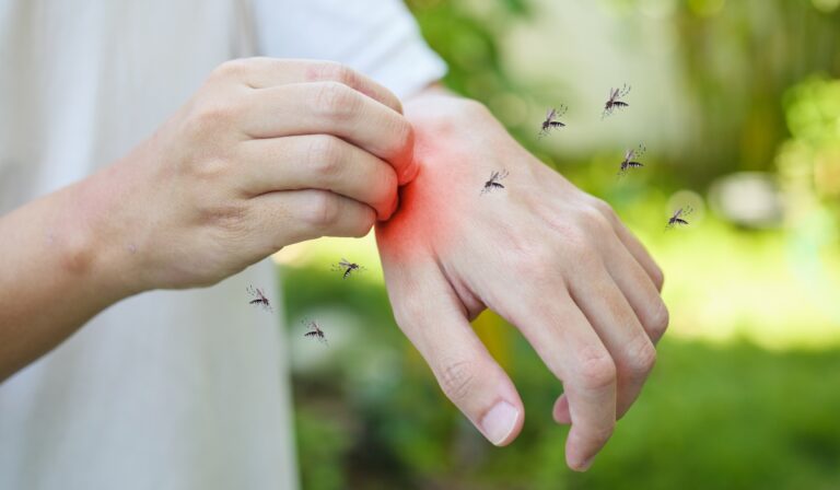 Plantele care te scapă de țânțari. Sunt mai bune decât orice spray