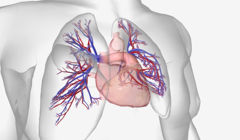 Hipertensiunea arterială pulmonară: o boală rară, complexă și deseori neînțeleasă