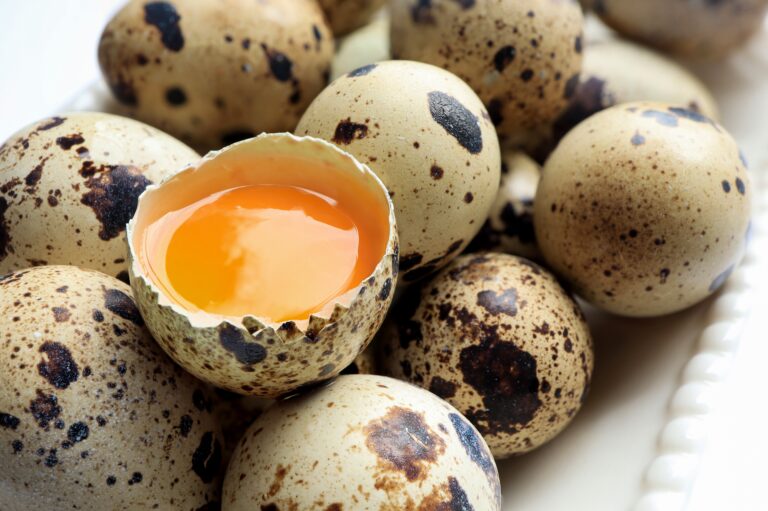Ouăle în dietă: Cum alegi variantele cele mai nutritive?