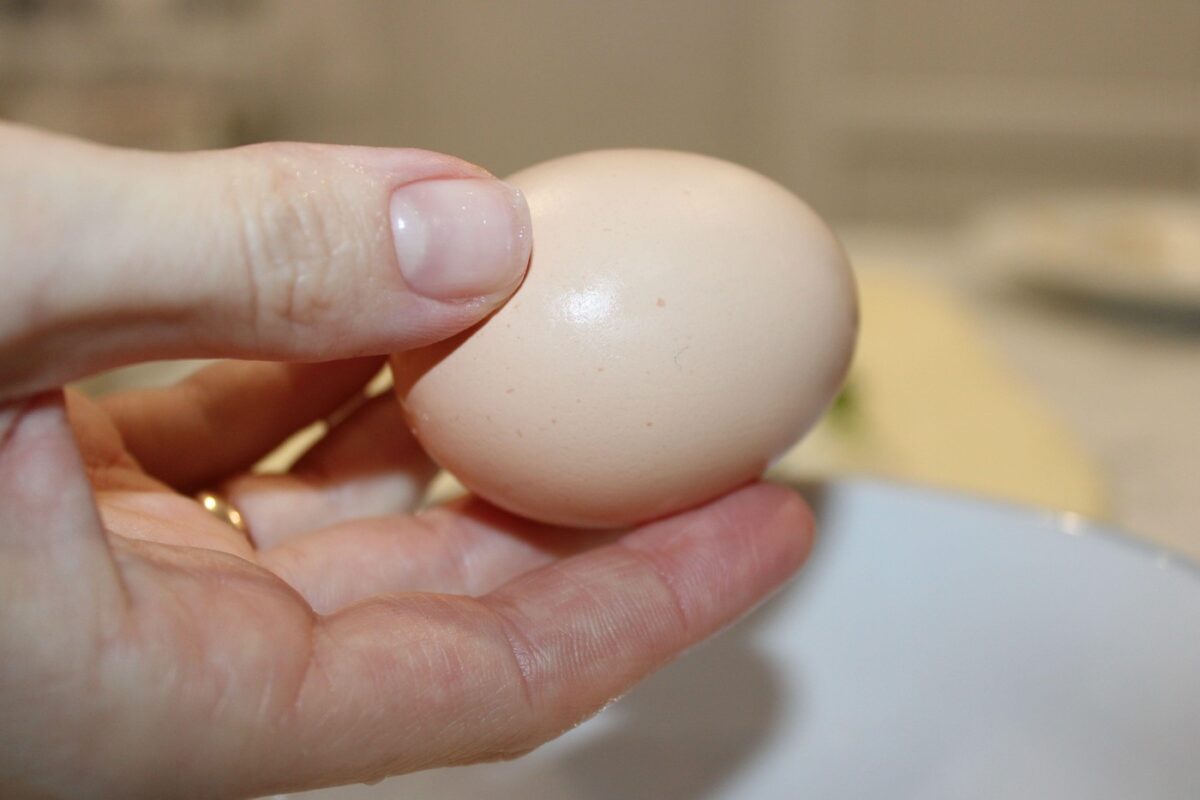 Cum să verifici ouăle dacă sunt proaspete! Trucuri rapide pentru siguranța alimentară în bucătărie