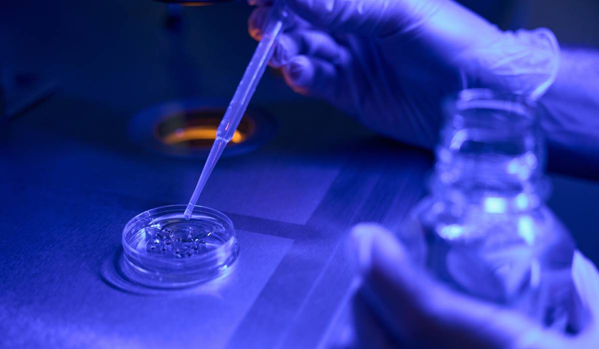 Terapia cu celule stem, o nouă speranță pentru tratarea AVC. Țara noastră are cea mai mare rată de mortalitate prin AVC din Europa