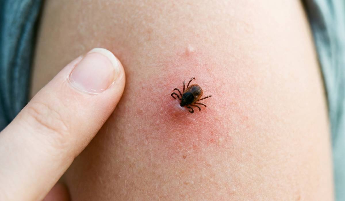 Capuse - ReactiveNews