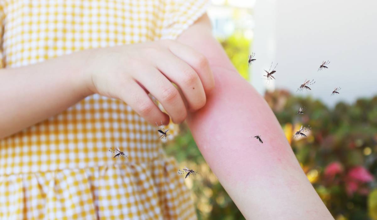 8 plante care te ajută să ții țânțarii departe de balcon în mod natural