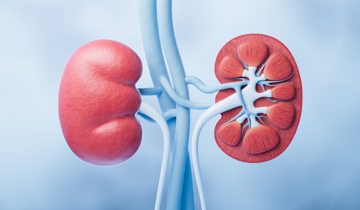 Poți pierde până la 80% din funcția rinichilor fără simptome. Semnele pe care medicii spun să nu le ignori
