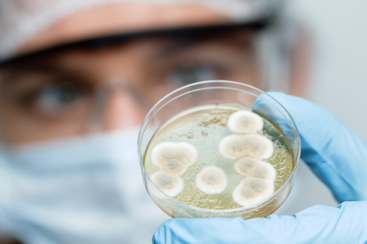 Bacteria care a eliminat complet tumorile după o singură doză