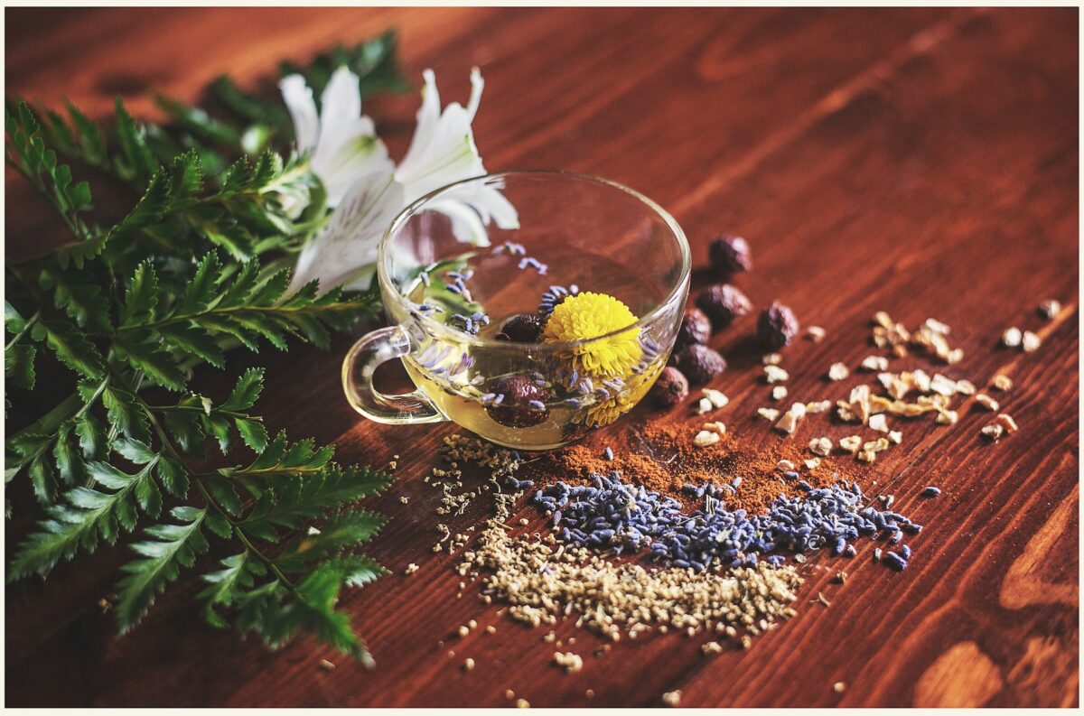 Obosit după o noapte nedormită? Aceste 7 plante pot fi aliatul tău natural