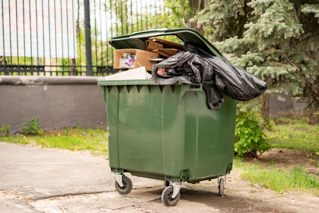 Cum scapi de muștele din jurul tomberonului. Trucurile simple care pot ține insectele la distanță în zilele călduroase