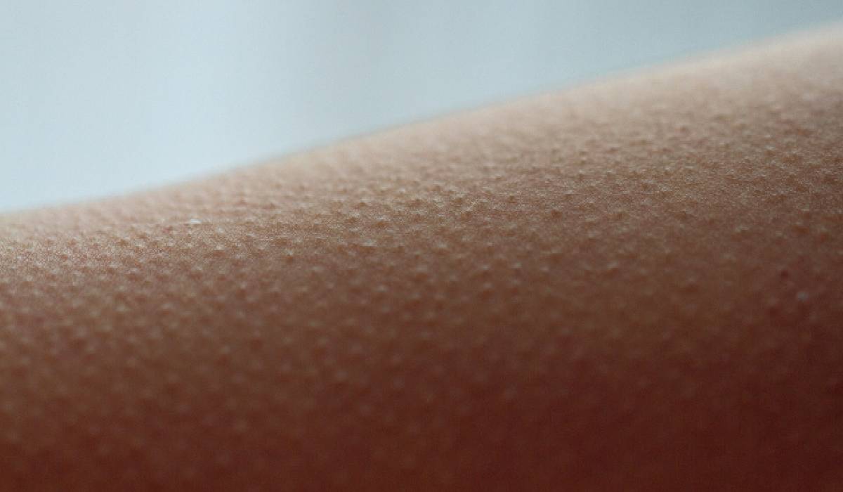 De ce ni se face pielea de găină când ascultăm muzică? Ce se întâmplă în creier și în organism