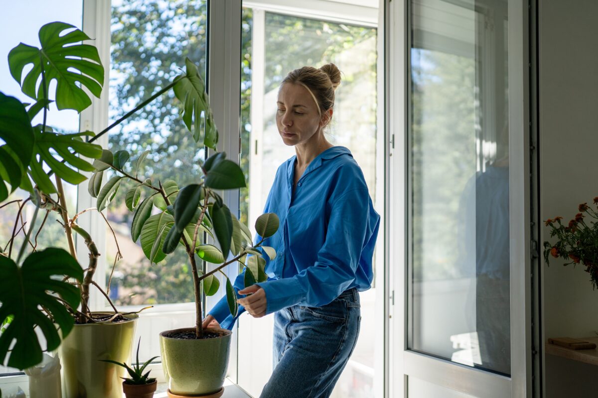 5 plante de apartament pe care nu ar trebui să le scoți pe balcon. Se pot ofili sau chiar arde