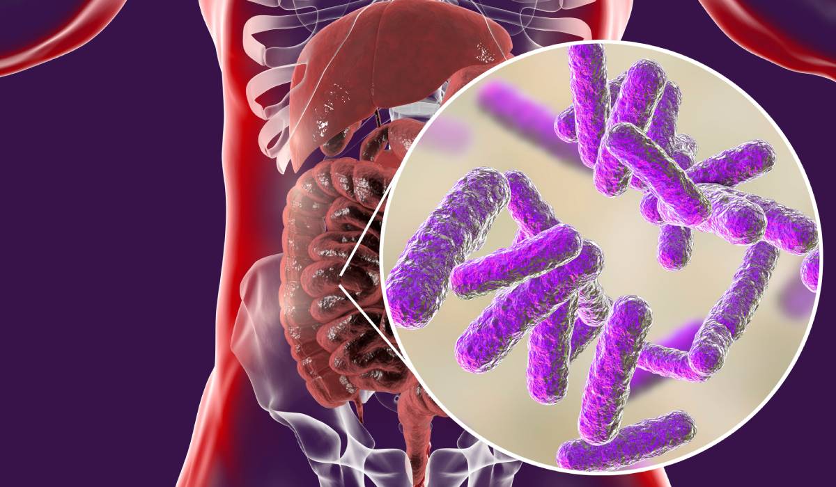 Ce se întâmplă dacă mănânci multe dulciuri când iei antibiotice Cum are de suferit, de fapt, microbiomul